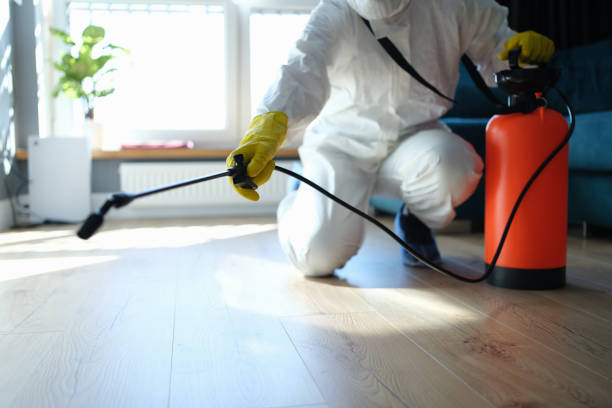 Trusted Sewage Cleanup service in Pittsfield, IL - Four Month Blood Cleanse